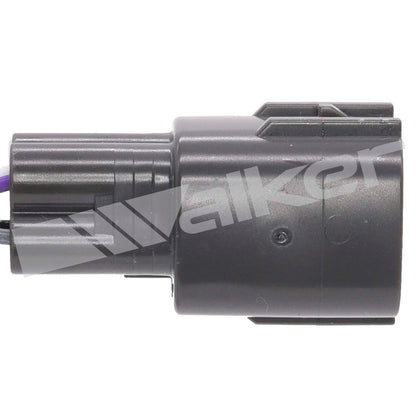Walker 250241264