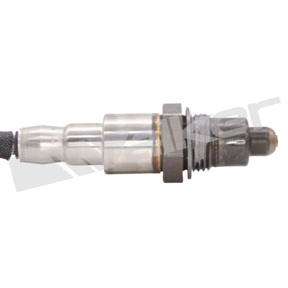 Walker 250-241271
