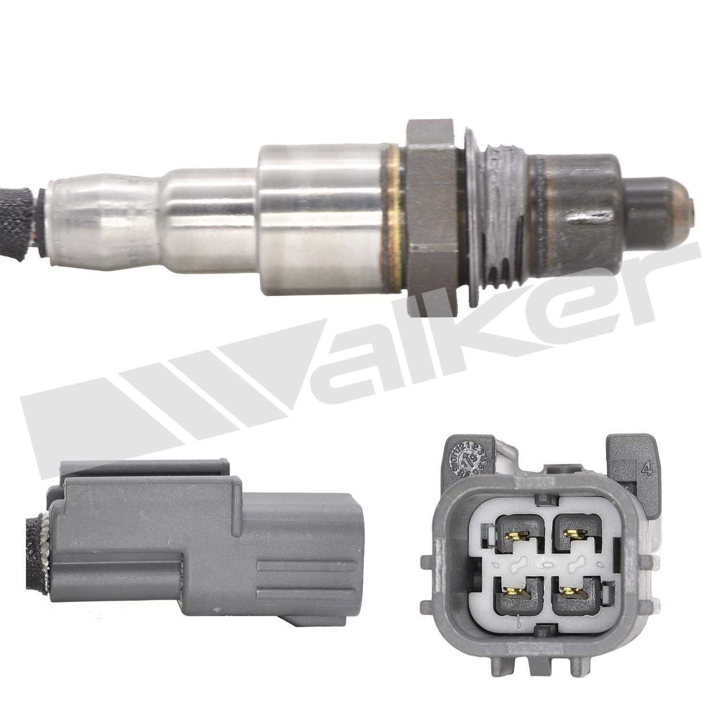 Walker 250-241271