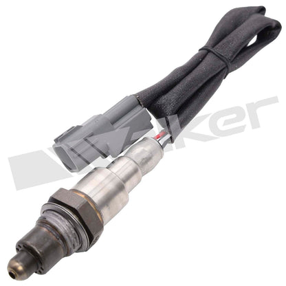 Walker 250-241271