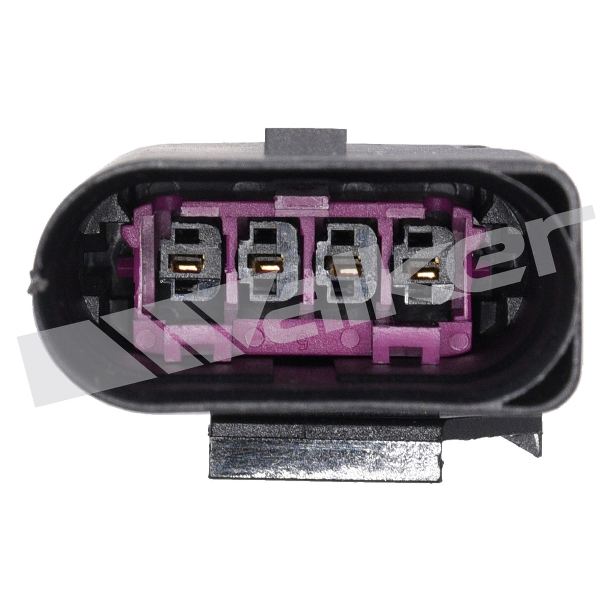 Walker 250241280