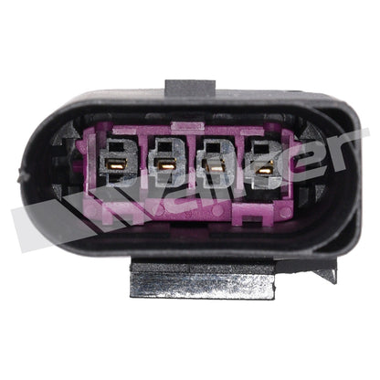 Walker 250241280