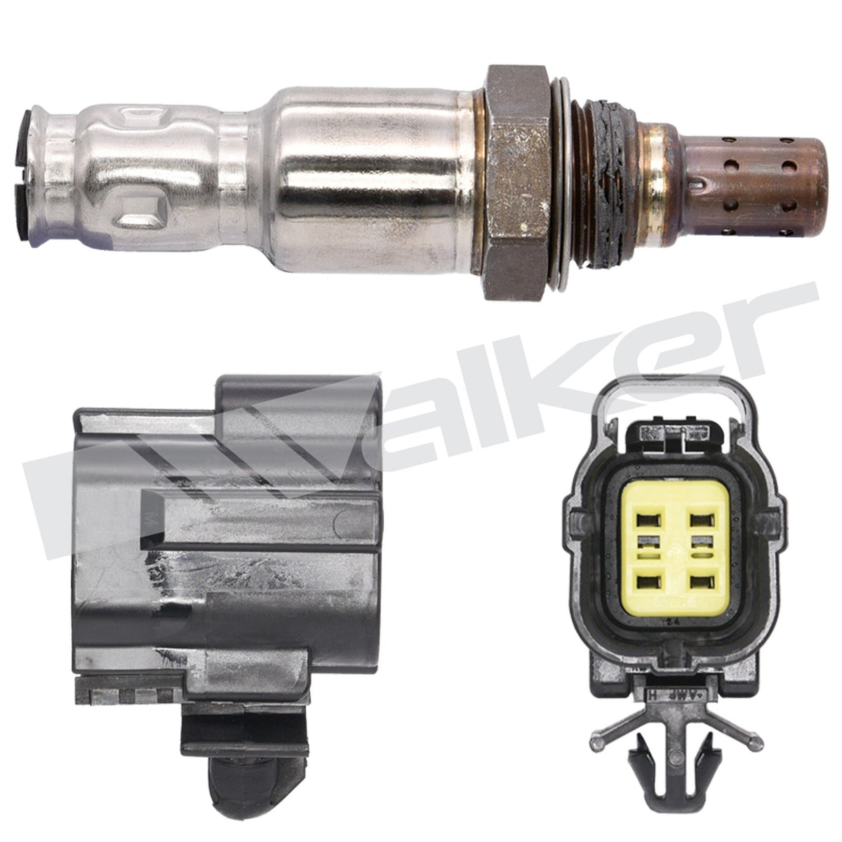 Walker Oxygen Sensor