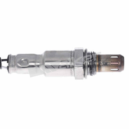 Walker Products 250-241318