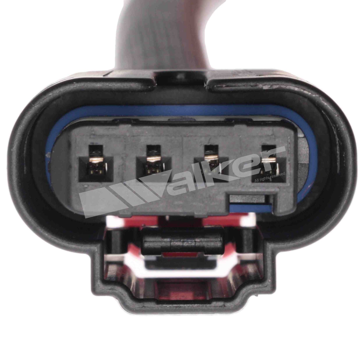 Walker Products 250-241318