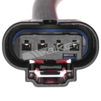 Walker Products 250-241318