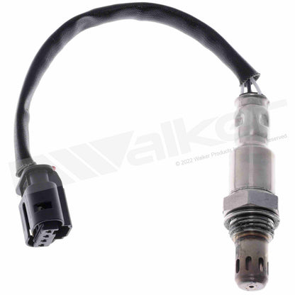 Walker 250-241318