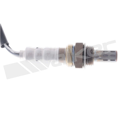 Walker 250-241321