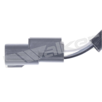 Walker 250-241321