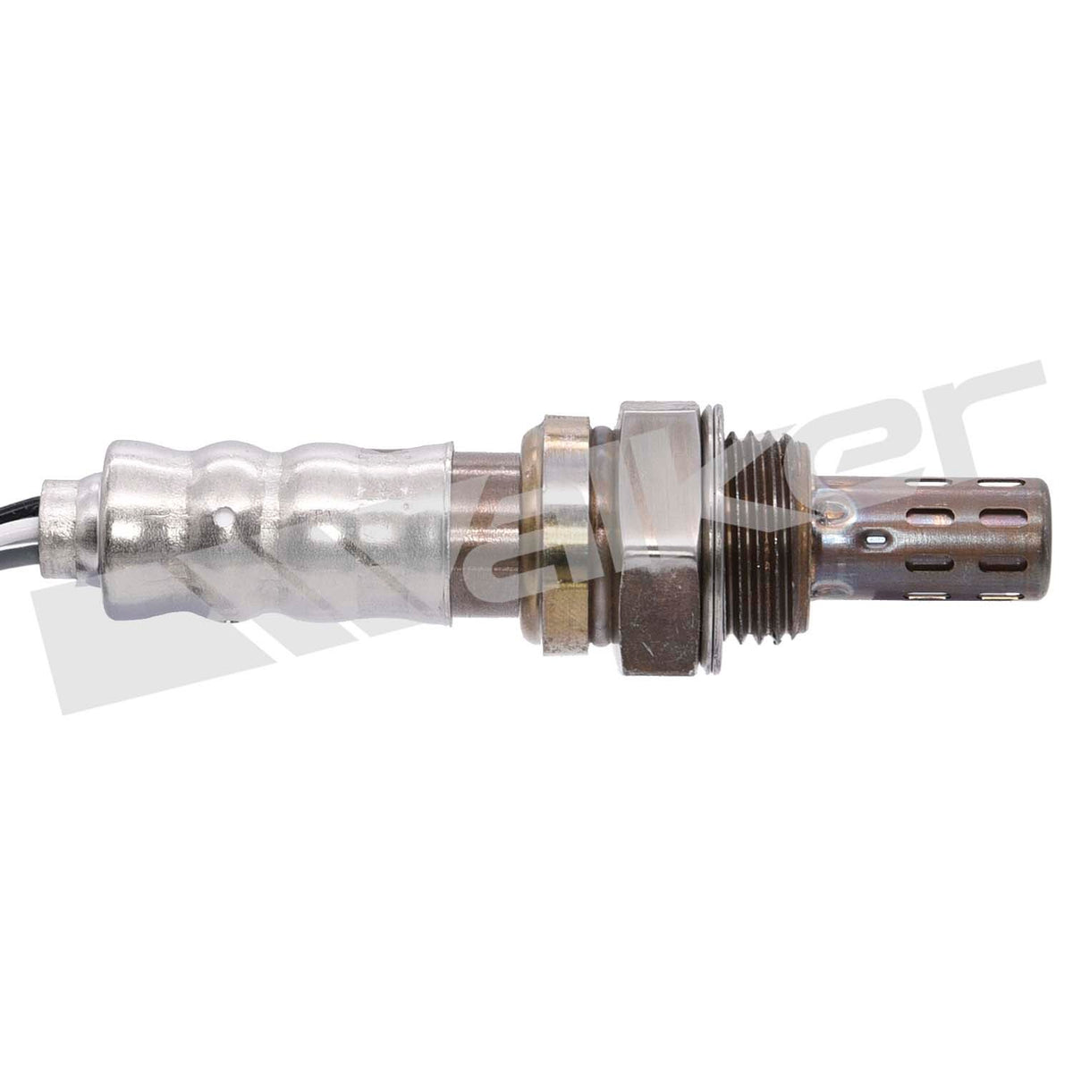 Walker Oxygen Sensor
