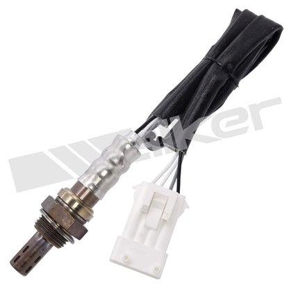 Walker Oxygen Sensor