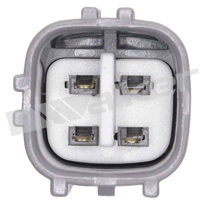 Walker Oxygen Sensor