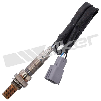 Walker Oxygen Sensor