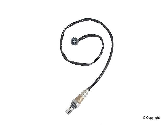 Walker Oxygen Sensor
