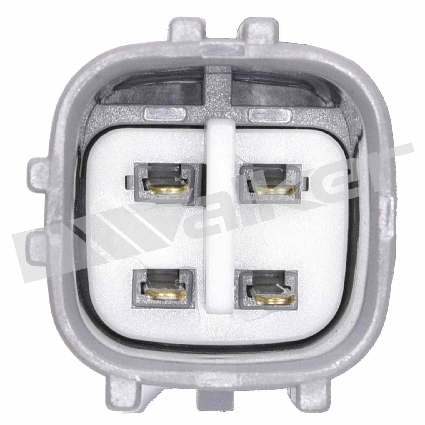 Walker Oxygen Sensor