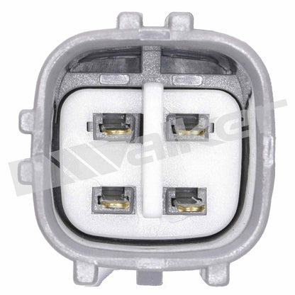 Walker Oxygen Sensor