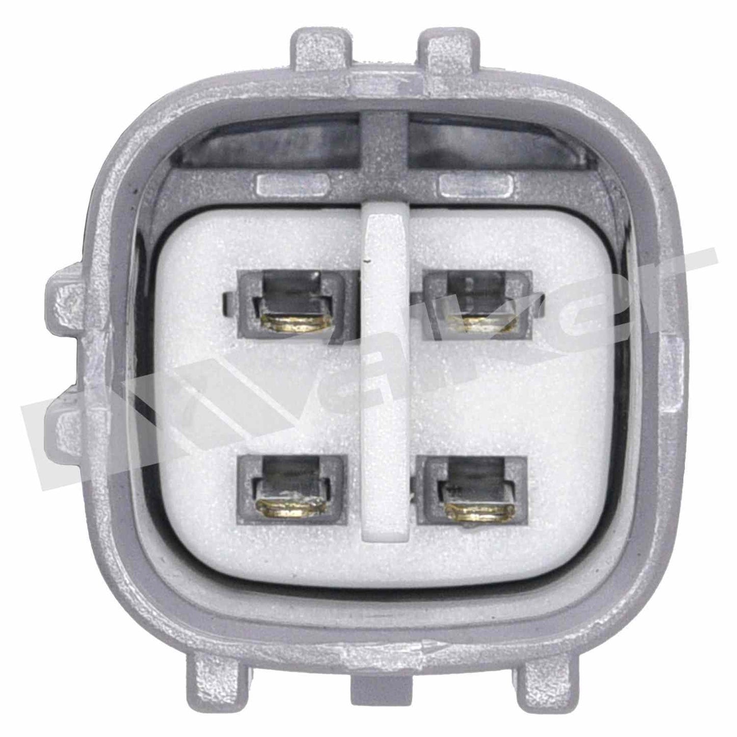 Walker Oxygen Sensor