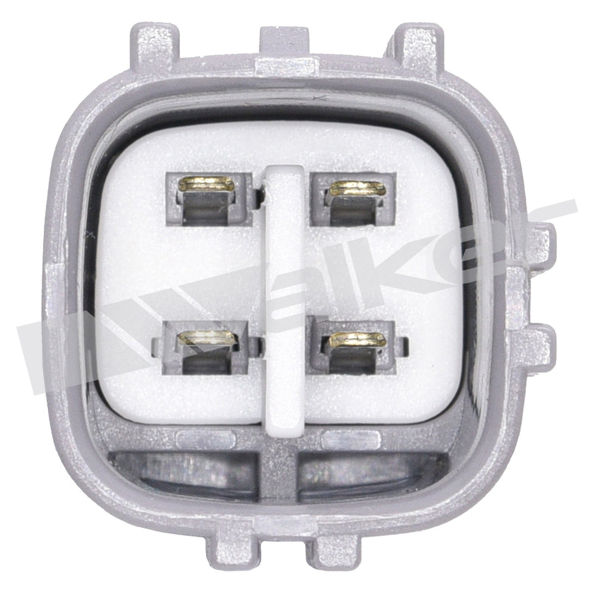 Walker Oxygen Sensor