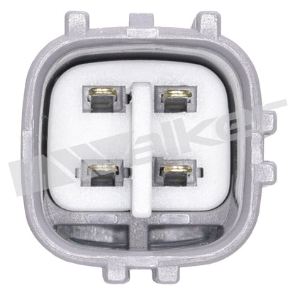 Walker Oxygen Sensor