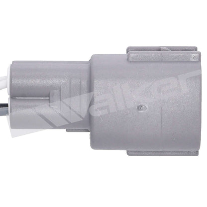 Walker Oxygen Sensor