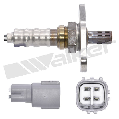 Walker Oxygen Sensor