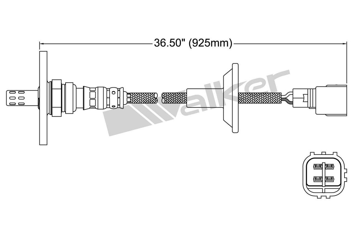 Walker Oxygen Sensor