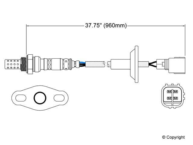 Walker Oxygen Sensor