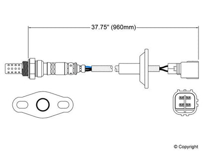 Walker Oxygen Sensor
