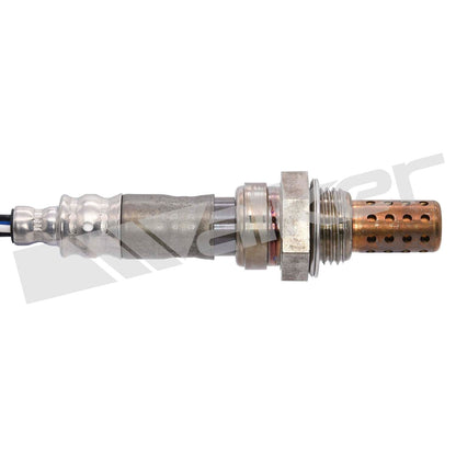 Walker Oxygen Sensor