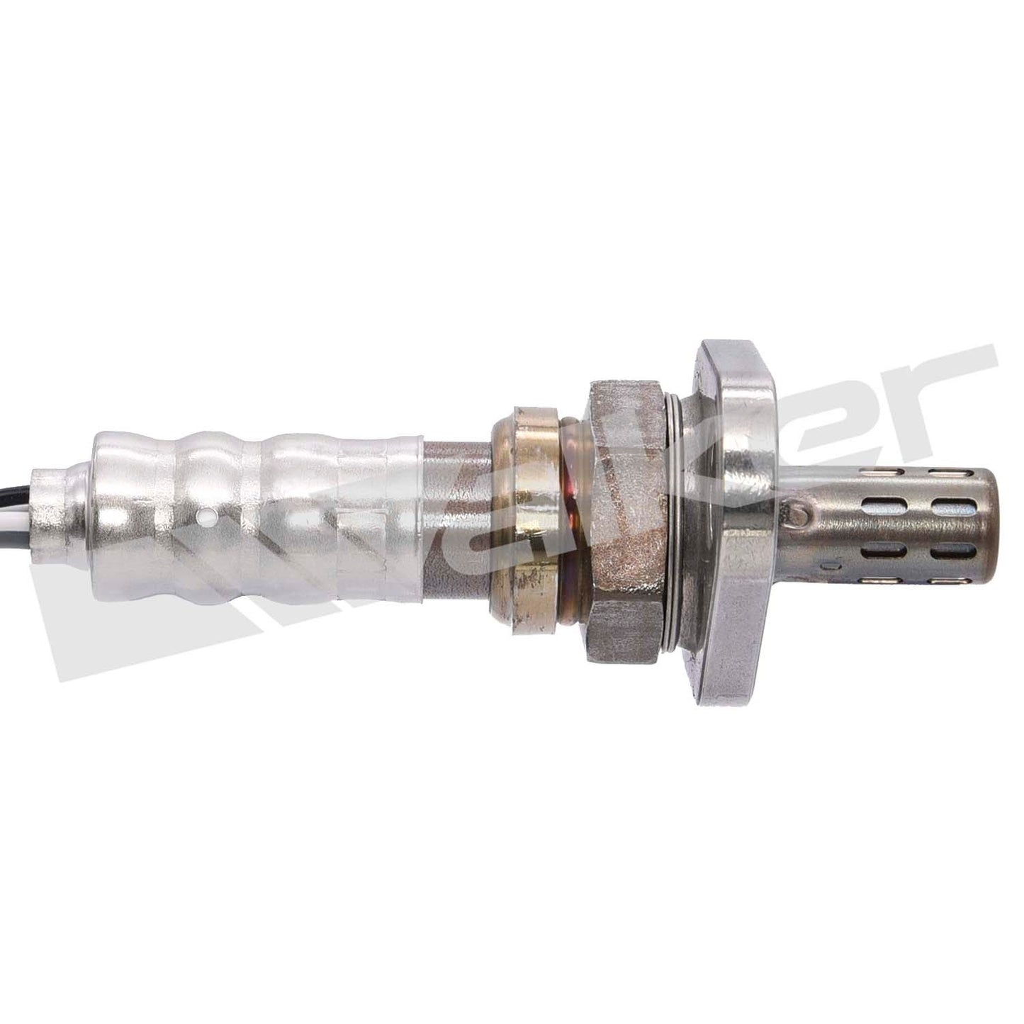 Walker Oxygen Sensor