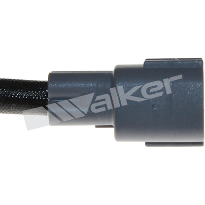 Walker Oxygen Sensor