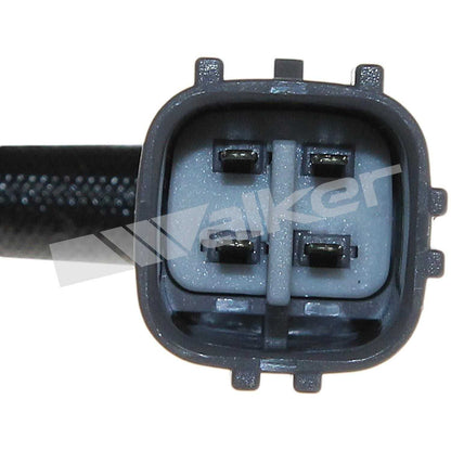 Walker Oxygen Sensor