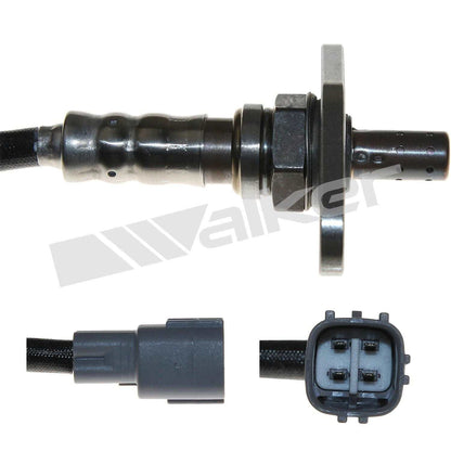 Walker Oxygen Sensor