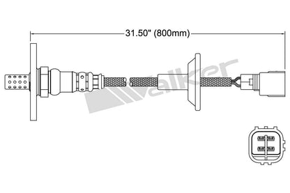 Walker Oxygen Sensor