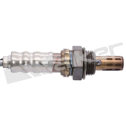 Walker Oxygen Sensor