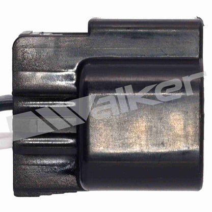 Walker Oxygen Sensor