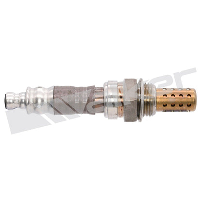 Walker Oxygen Sensor