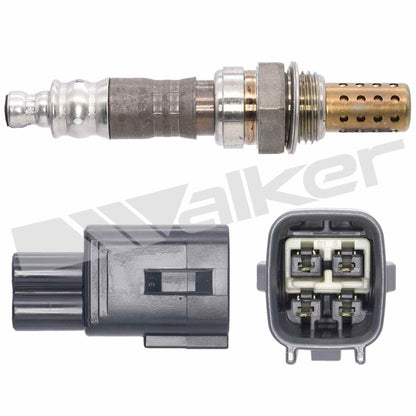 Walker Oxygen Sensor