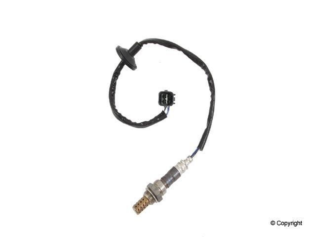Walker Oxygen Sensor