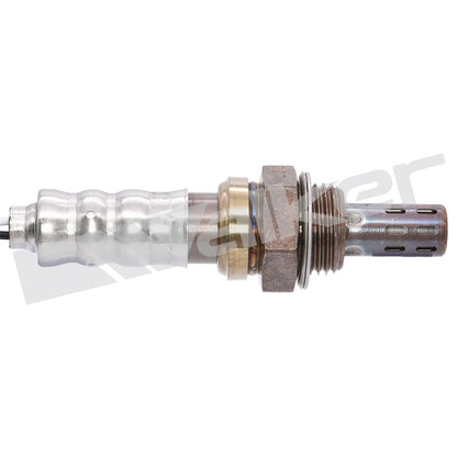 Walker Oxygen Sensor