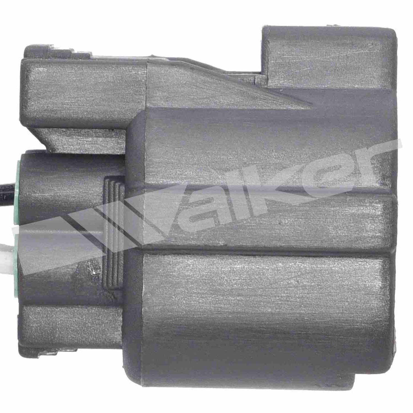 Walker Oxygen Sensor