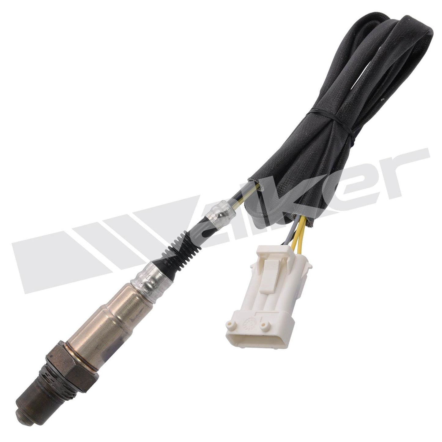 Walker Oxygen Sensor