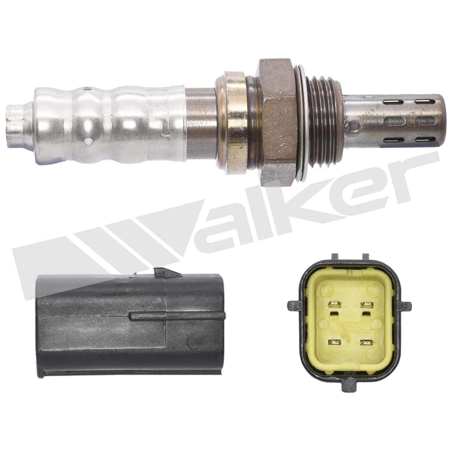 Walker Oxygen Sensor
