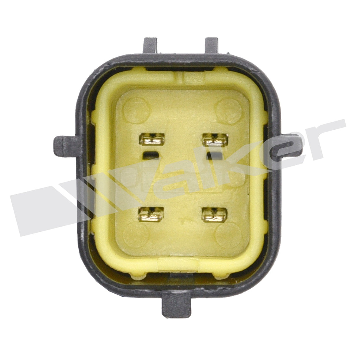 Walker Oxygen Sensor