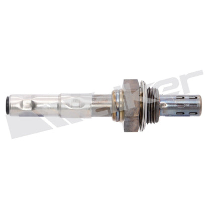 Walker Oxygen Sensor