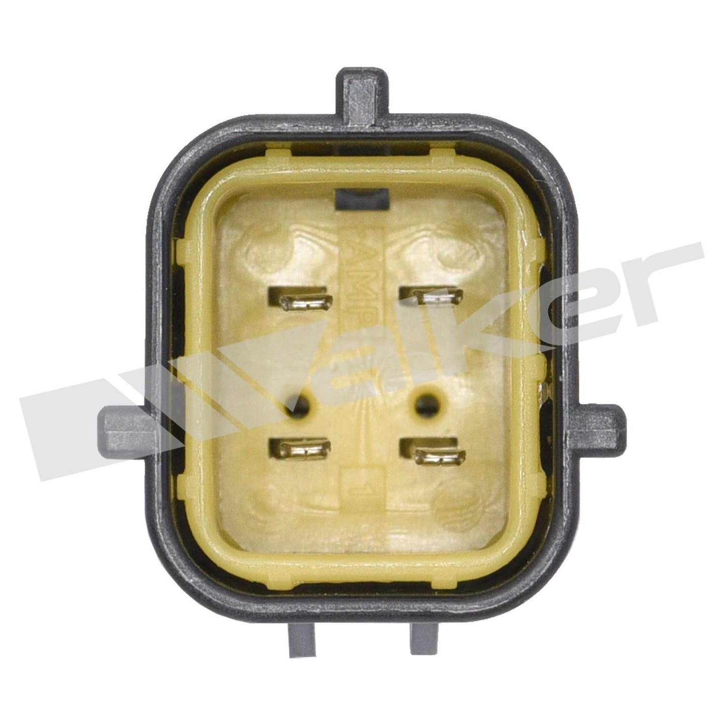 Walker Oxygen Sensor