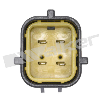 Walker Oxygen Sensor