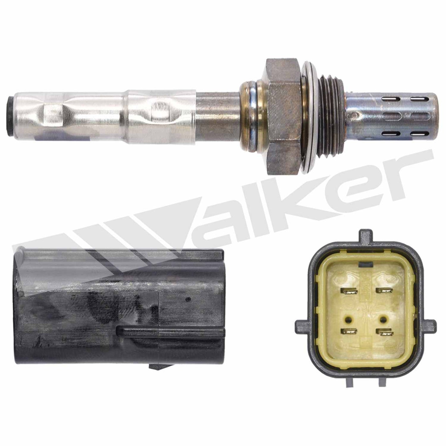 Walker Oxygen Sensor