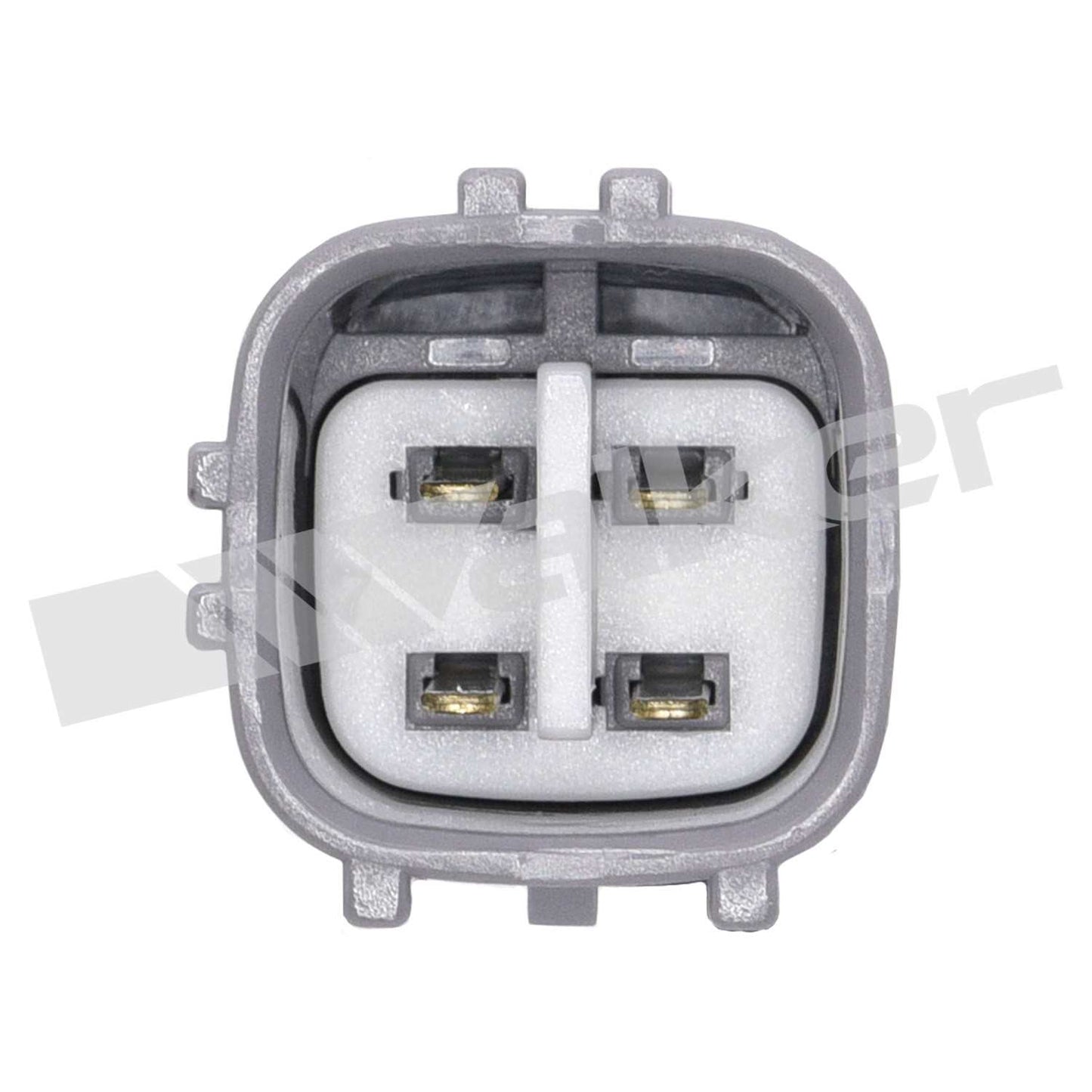 Walker Oxygen Sensor