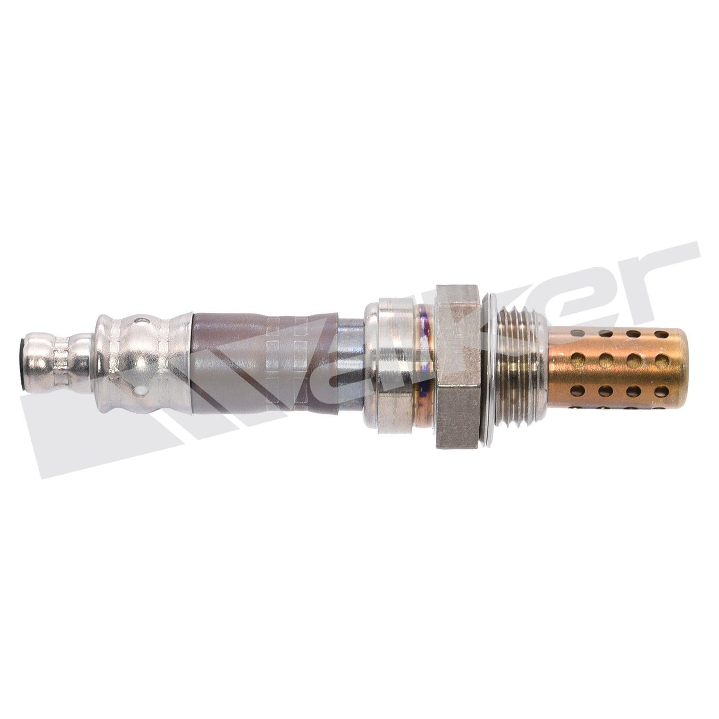 Walker Oxygen Sensor